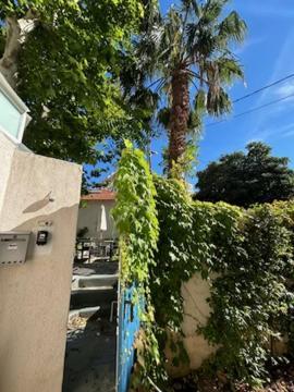 Bord De Mer, Magnifique De 150m2 Avec Jardin Appartement