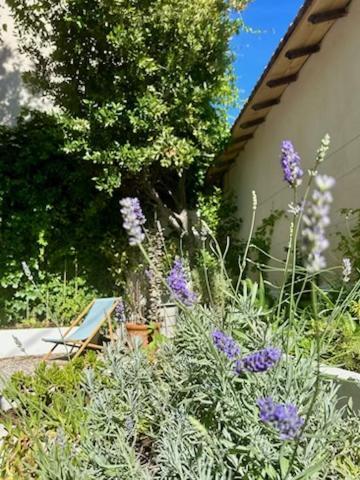 Bord De Mer, Magnifique De 150m2 Avec Jardin Apartment *
