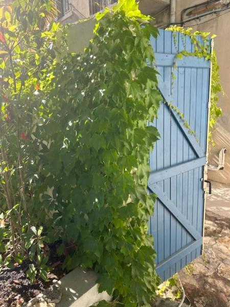 Bord De Mer, Magnifique De 150m2 Avec Jardin * Marseille